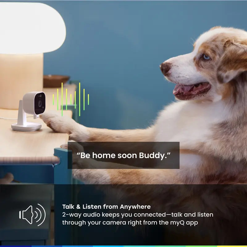 myQ Smart Indoor-Kamera: Nachtsicht &amp; Bewegungserkennung 