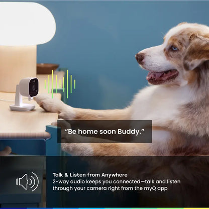 myQ Smart Indoor-Kamera: Nachtsicht &amp; Bewegungserkennung 