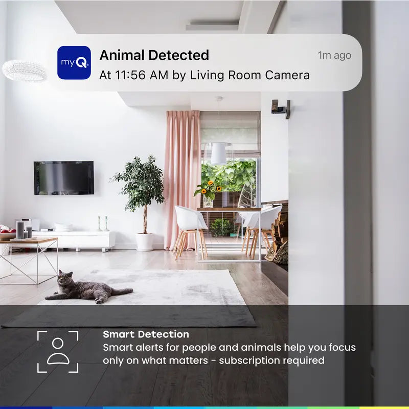myQ Smart Indoor Camera: Night Vision & Motion Detect